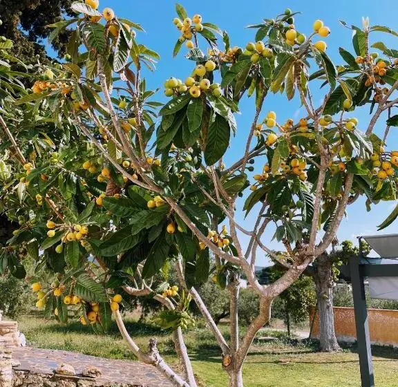 Masia St Salvador 1582