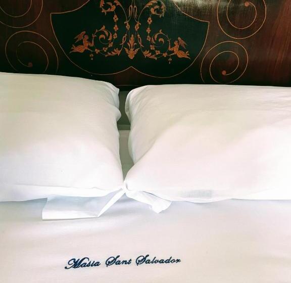 Masia St Salvador 1582