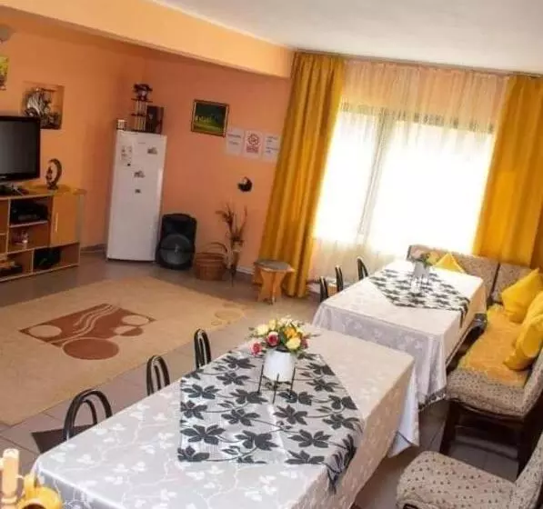 ペンション Cabana Ancuța