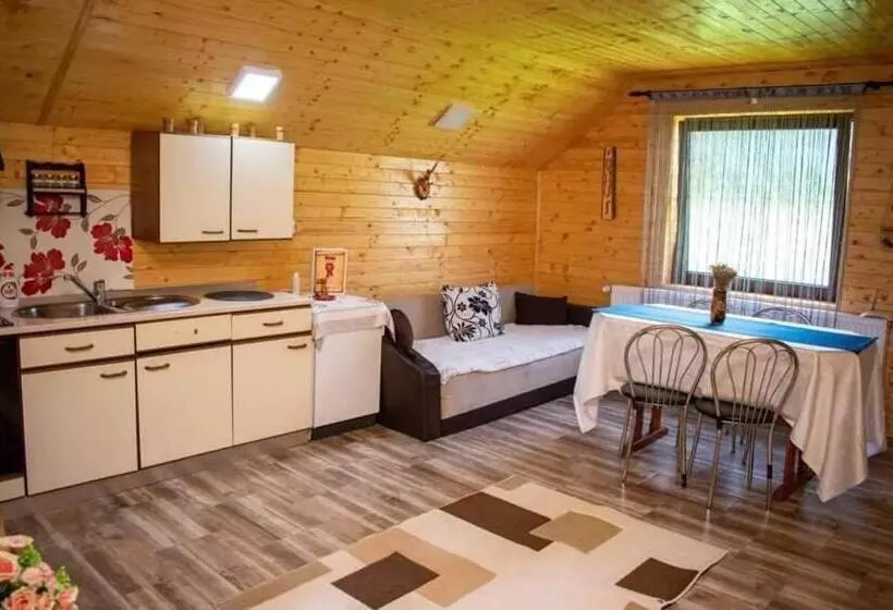 ペンション Cabana Ancuța