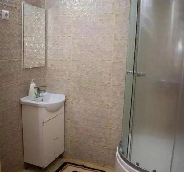 ペンション Cabana Ancuța