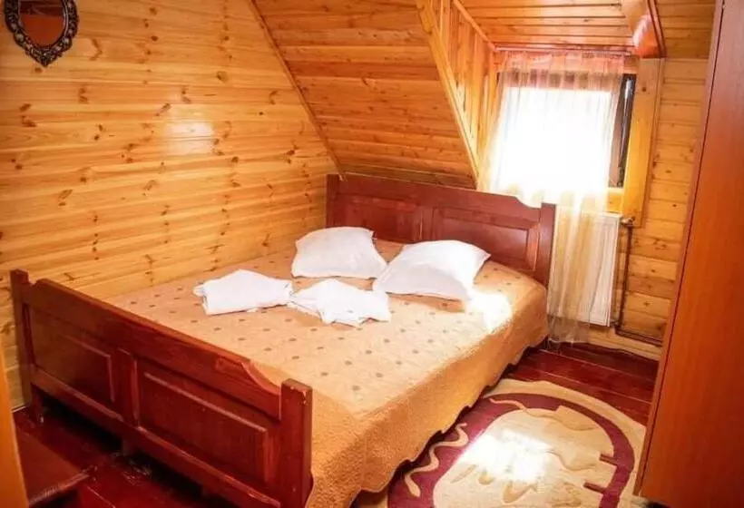 ペンション Cabana Ancuța