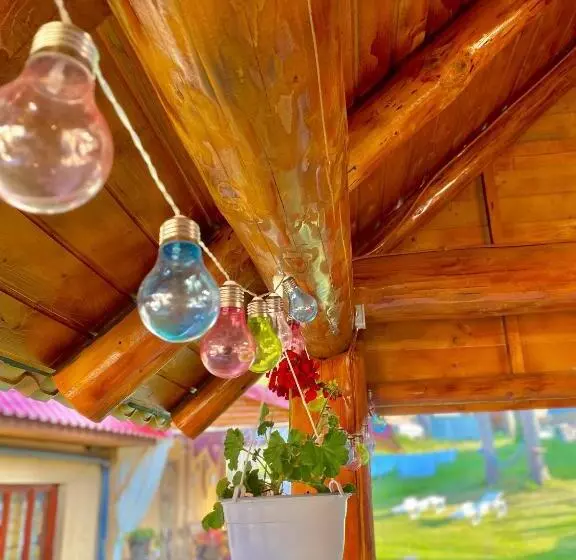 ペンション Cabana Ancuța