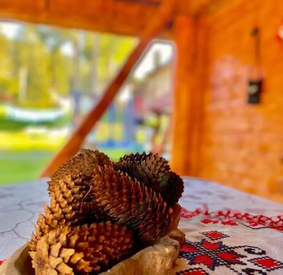 ペンション Cabana Ancuța