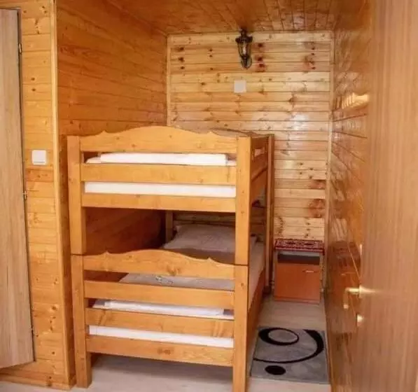 ペンション Cabana Ancuța