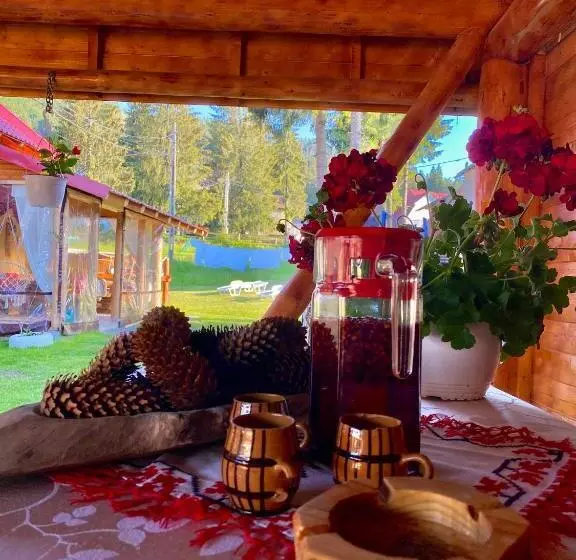 ペンション Cabana Ancuța