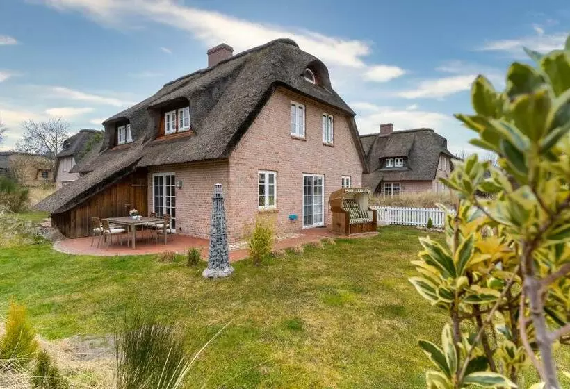 Reetdachhaus Stormhus Böhl Reetdachhaus Stormhus Böhl