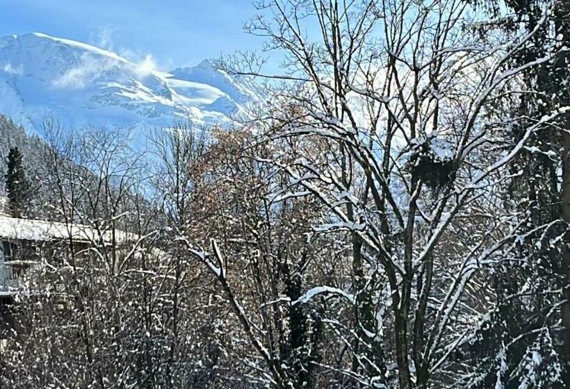 Studio Rue De Jardin