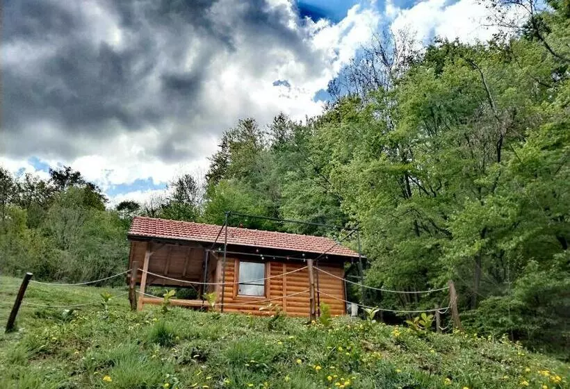 Brvnara Elena