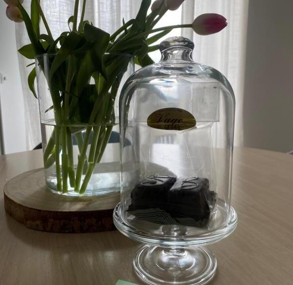 Verde Salvia Home   Free Park