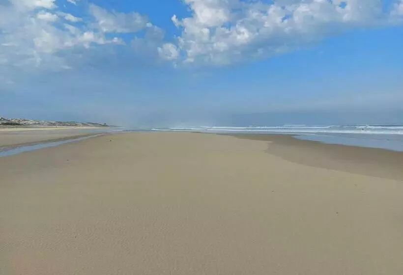 Biscarrosse Bourg   Studio Tout Confort