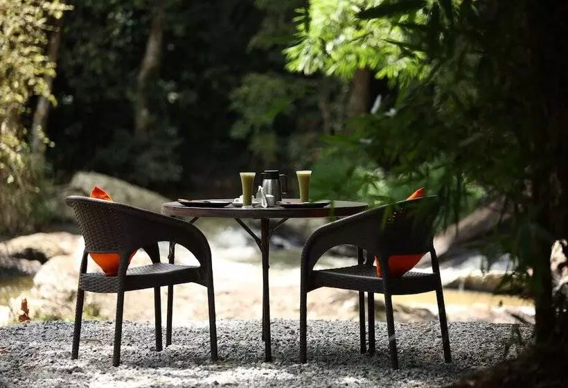 Lomakeskus Avadale Coorg   Stag Groups Not Allowed