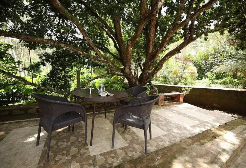 Lomakeskus Avadale Coorg   Stag Groups Not Allowed