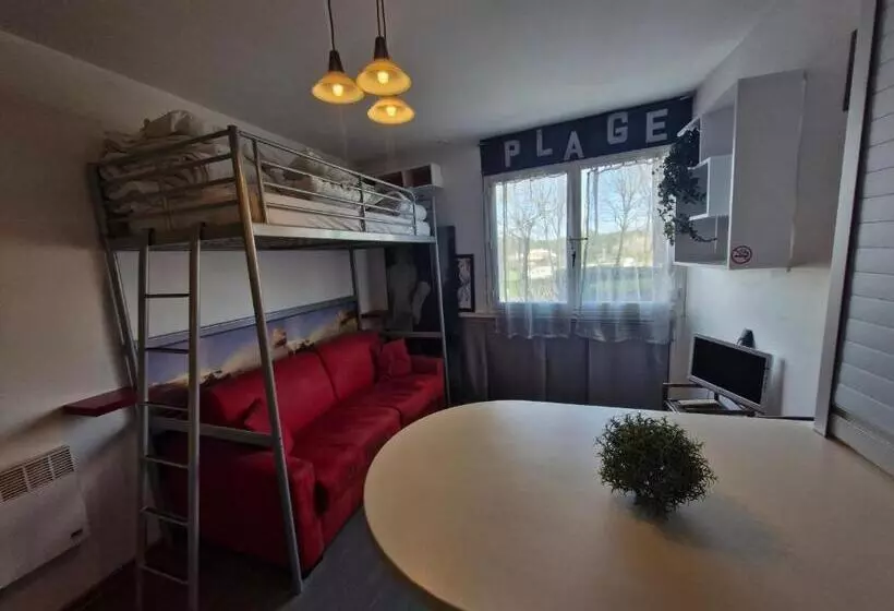 Studio Rdc   Marina 4   13 Allée Des Pinons   0 1