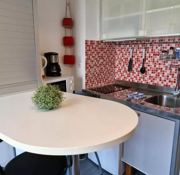 Studio Rdc   Marina 4   13 Allée Des Pinons   0 1