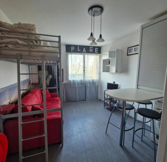 Studio Rdc   Marina 4   13 Allée Des Pinons   0 1