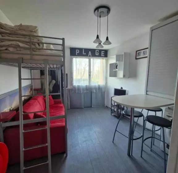 Studio Rdc   Marina 4   13 Allée Des Pinons   0 1