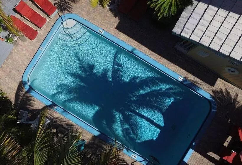 Best Florida Resort
