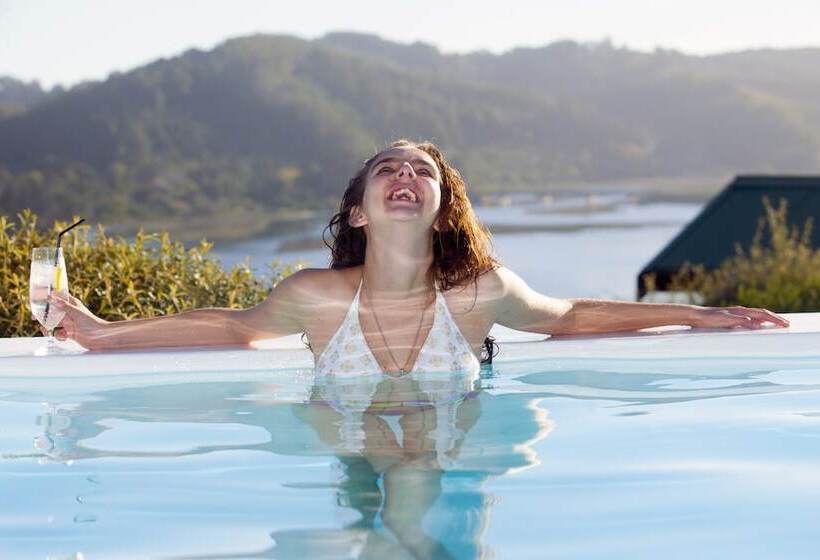 Elephant Hide Of Knysna Guest Lodge