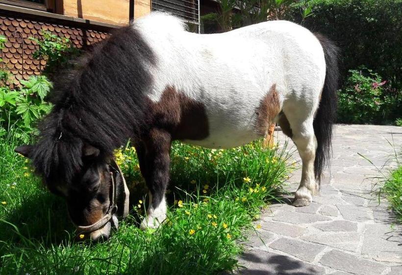 Ferienbauernhof Berlinger