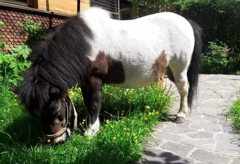 Ferienbauernhof Berlinger