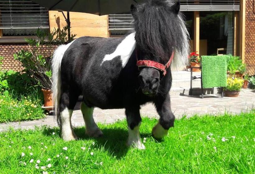 Ferienbauernhof Berlinger