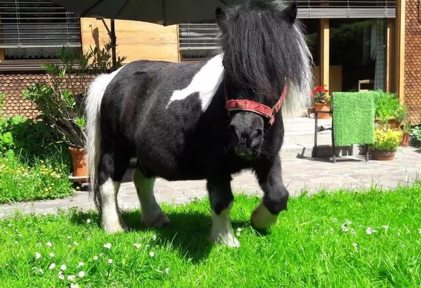 Ferienbauernhof Berlinger