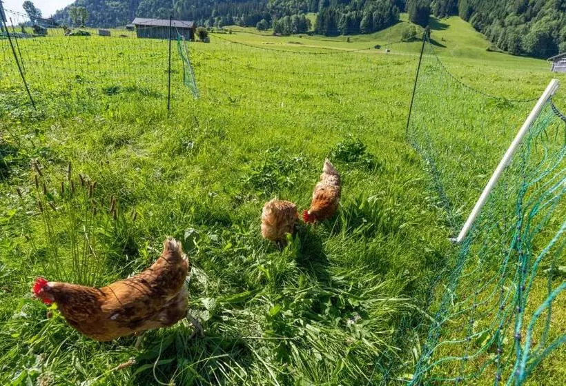 Ferienbauernhof Berlinger