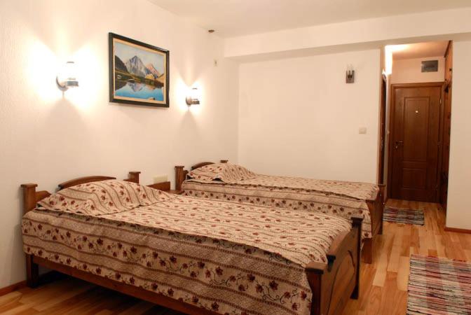 Otel Pirinski Han  Old Adjev Han