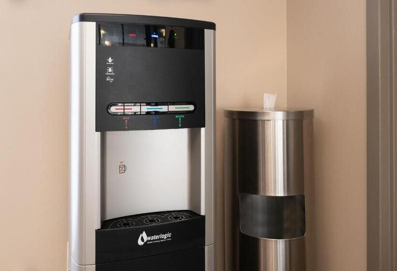 ホテル Courtyard By Marriott St. Petersburg Downtown