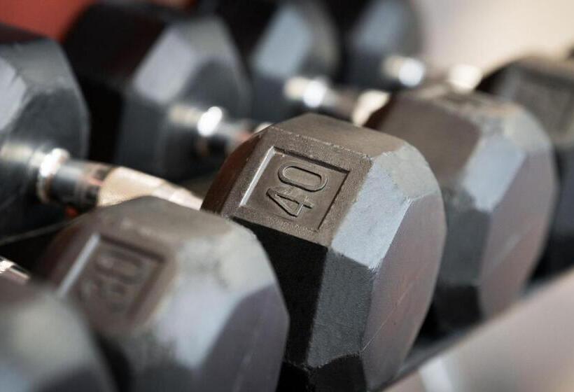 ホテル Courtyard By Marriott St. Petersburg Downtown