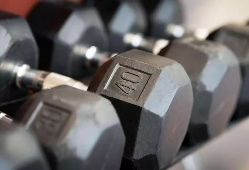 בית מלון כפרי Courtyard By Marriott St. Petersburg Downtown