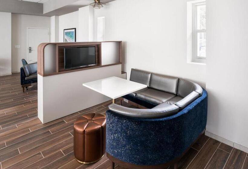 ホテル Courtyard By Marriott St. Petersburg Downtown