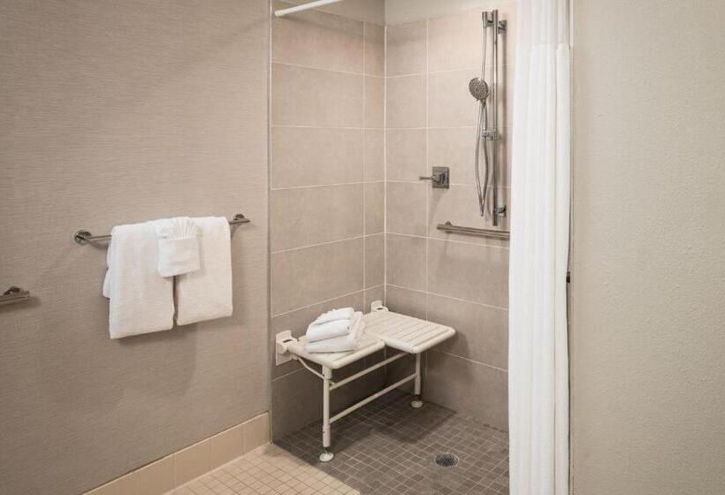 ホテル Courtyard By Marriott St. Petersburg Downtown