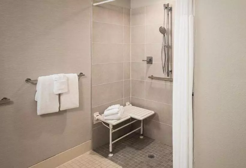 בית מלון כפרי Courtyard By Marriott St. Petersburg Downtown