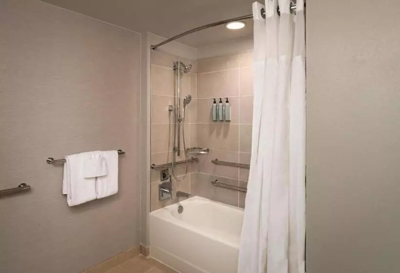 בית מלון כפרי Courtyard By Marriott St. Petersburg Downtown