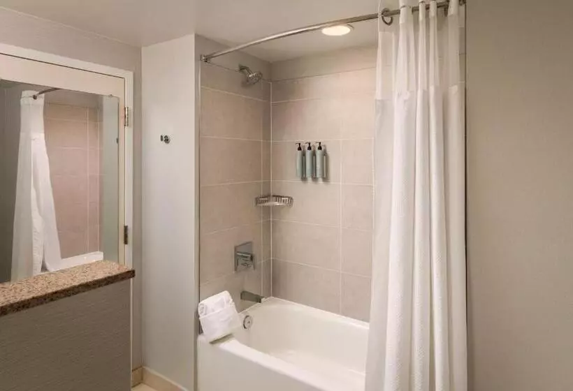 בית מלון כפרי Courtyard By Marriott St. Petersburg Downtown