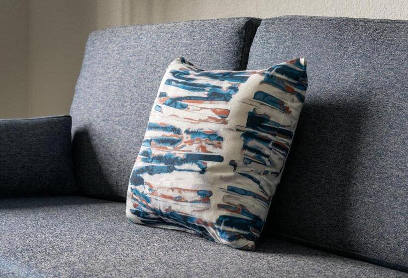 ホテル Courtyard By Marriott St. Petersburg Downtown