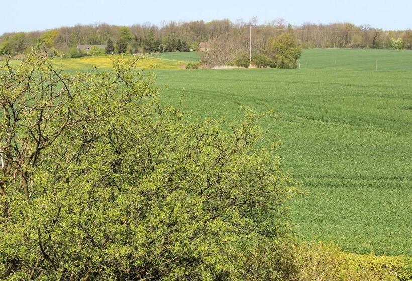 בית מלון כפרי Gutshaus Kubbelkow