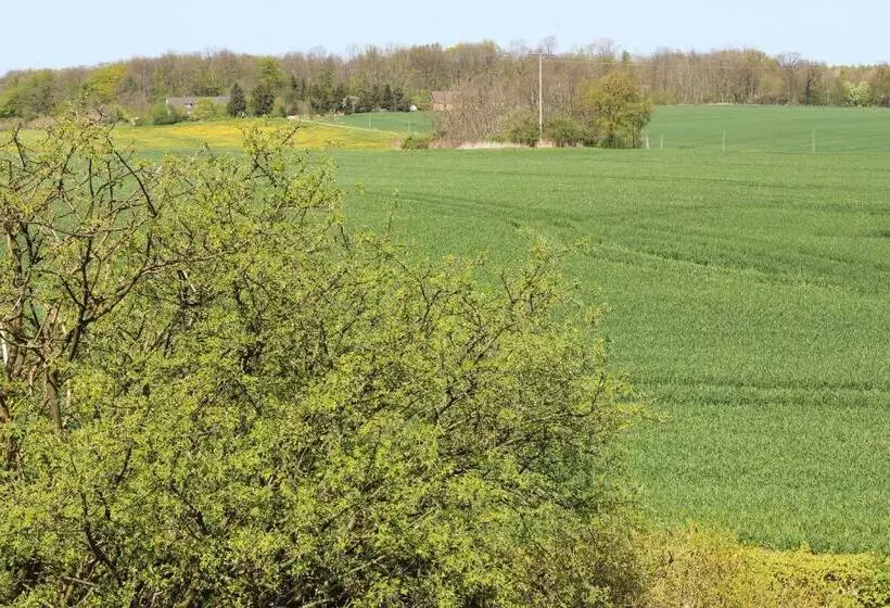 酒店 Gutshaus Kubbelkow