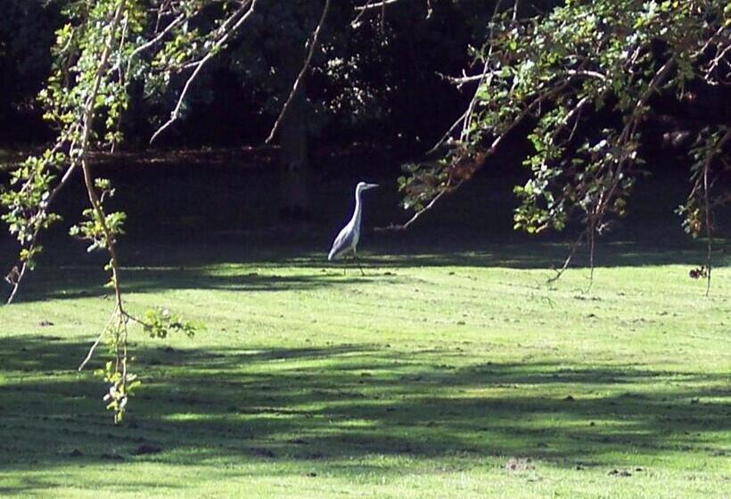 בית מלון כפרי Gutshaus Kubbelkow