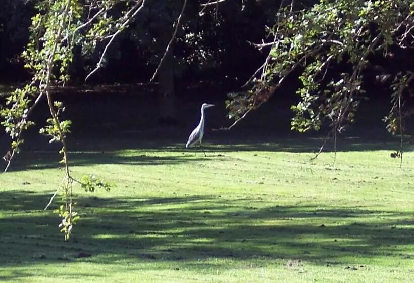 酒店 Gutshaus Kubbelkow