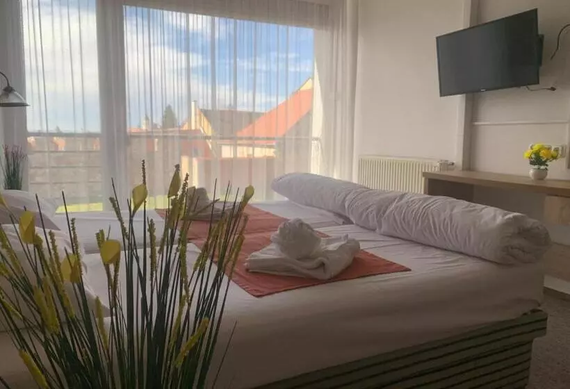 Отель Várfal Wellness Panzió