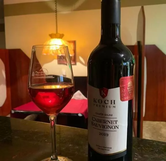 Отель Várfal Wellness Panzió