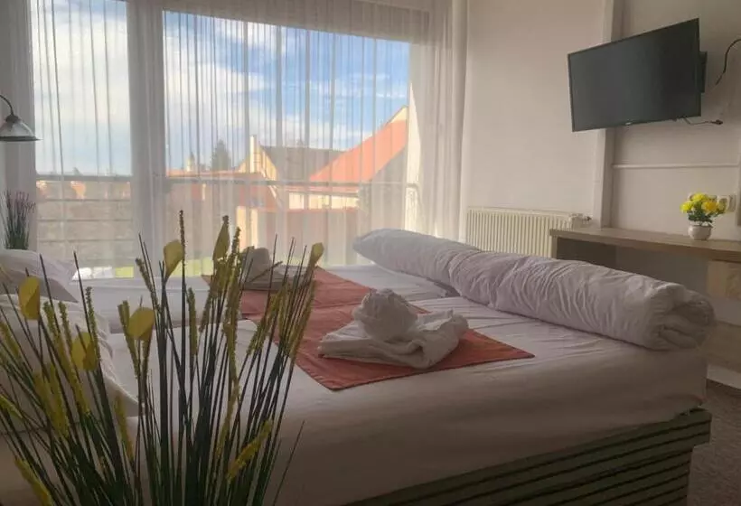Отель Várfal Wellness Panzió