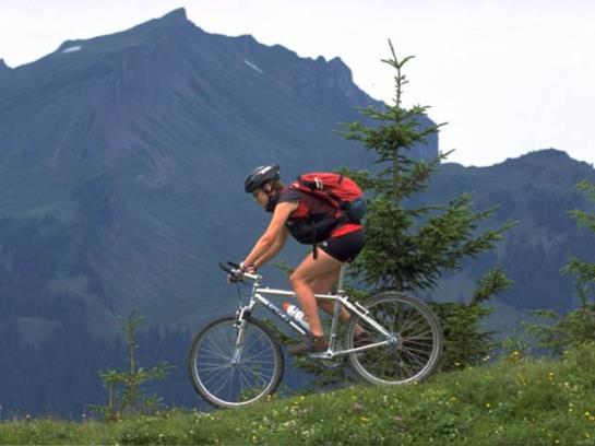 Bed and Breakfast Moosbrugger Marlene U. Walter - Haus Marlene Pension