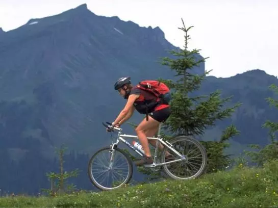 Bed and Breakfast Moosbrugger Marlene U. Walter - Haus Marlene Pension