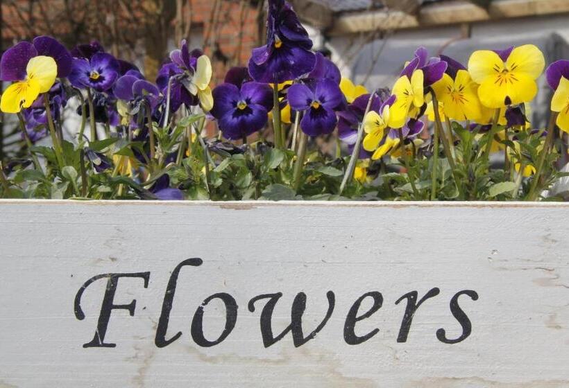 ホテル Pension Achtern Diek