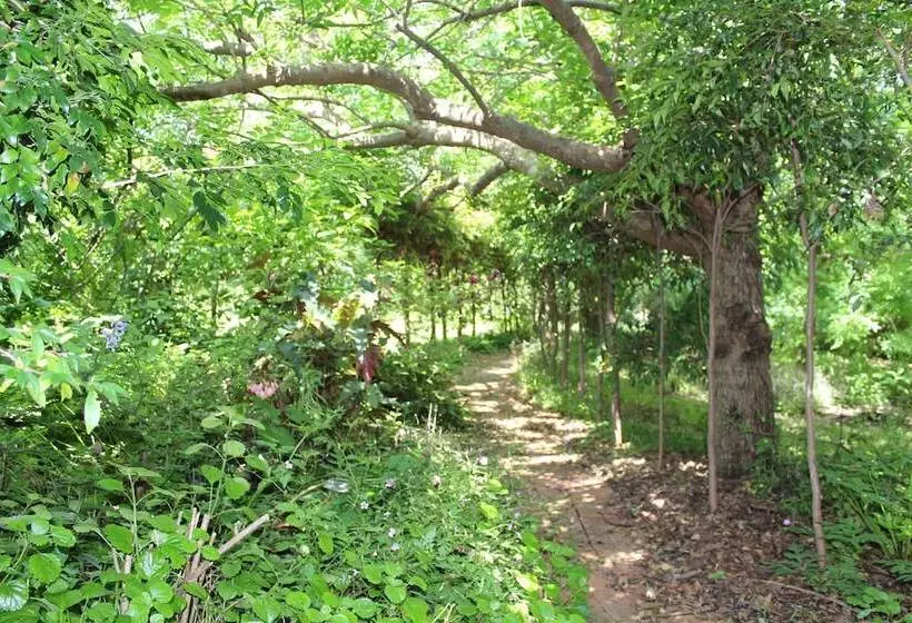 Отель Storey Grange