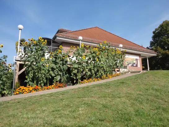Hotel Tiptop An Der Seepromenade